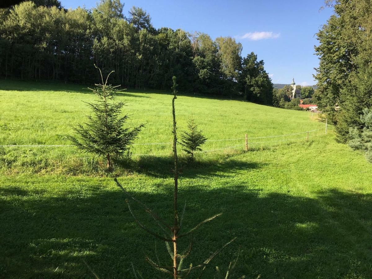 Samostatný mezonetový apartmán s dvěmi ložnicemi a vlastní krytou terasou a sdíleným bazénem Vila Rudník Exterior foto